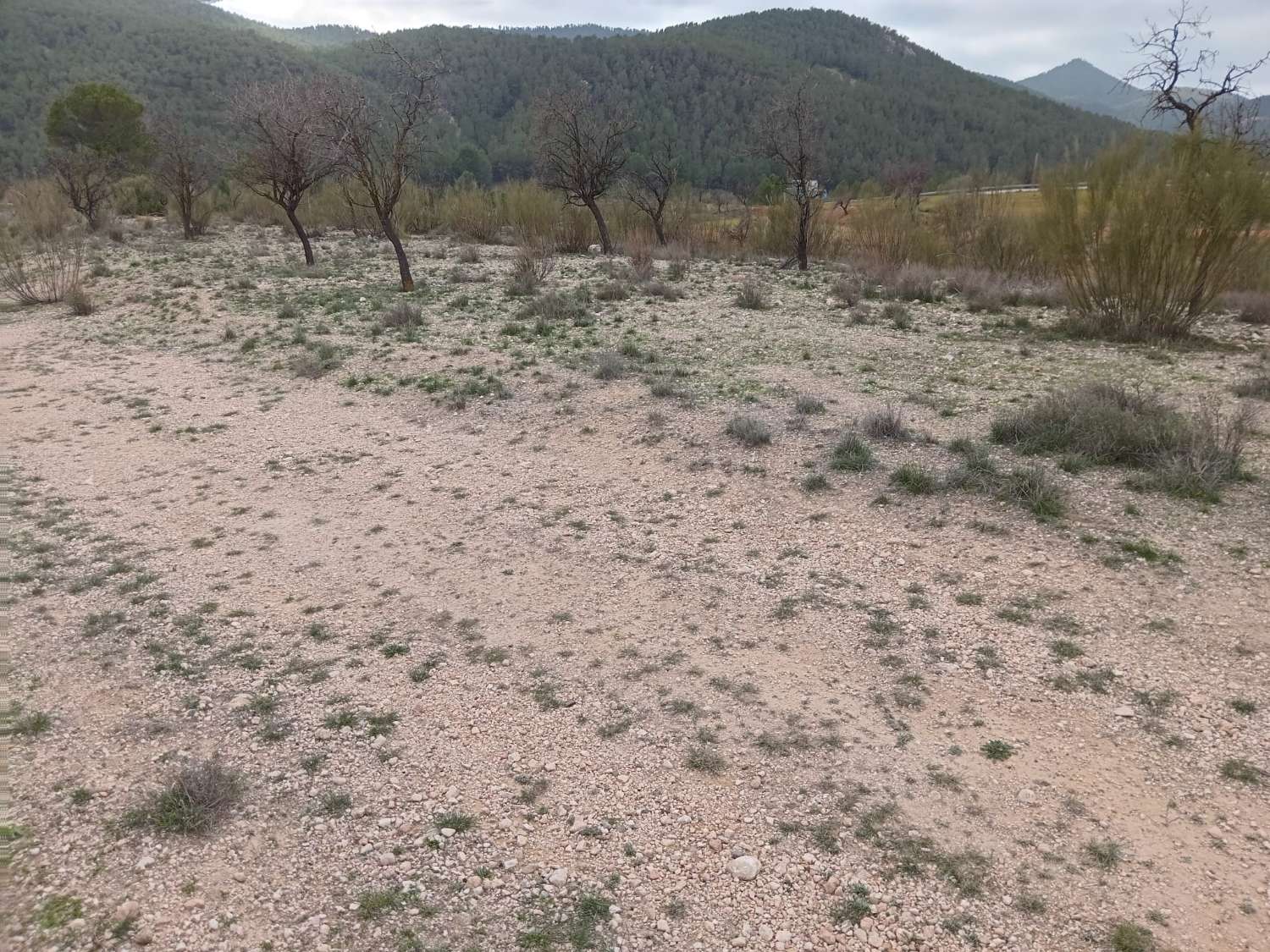 Finca con terreno de 3 hectáreas a 7km de Vélez Rubio