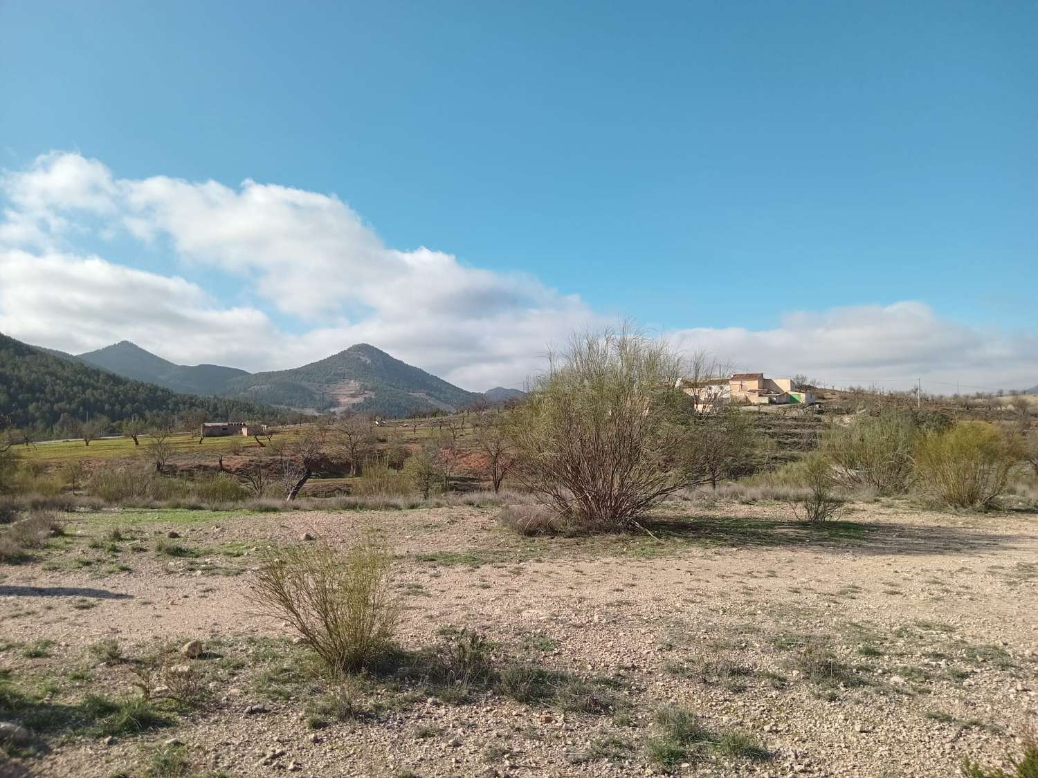 Finca con terreno de 3 hectáreas a 7km de Vélez Rubio
