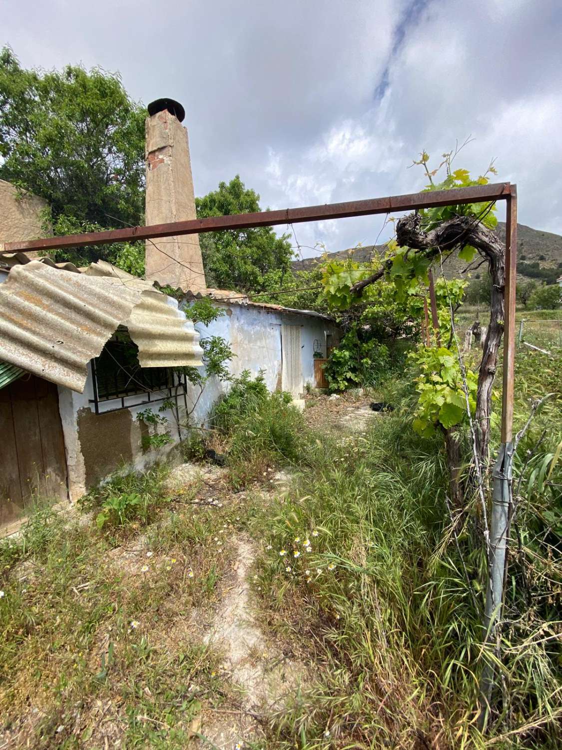5 bedroom house in Oria with 1,700m2 of land with gardens and terraces