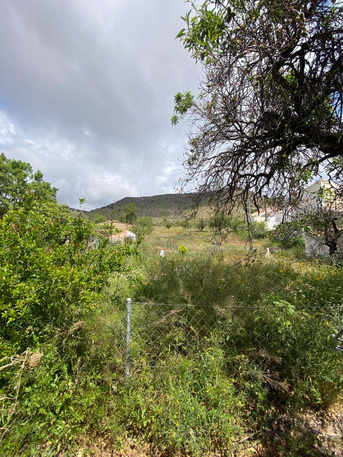 5 bedroom house in Oria with 1,700m2 of land with gardens and terraces