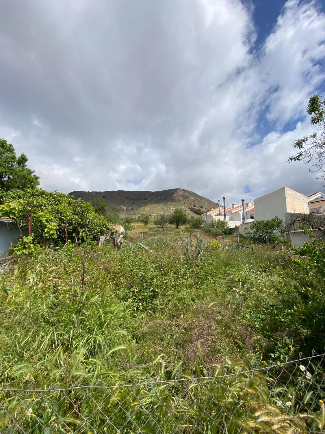 5 bedroom house in Oria with 1,700m2 of land with gardens and terraces