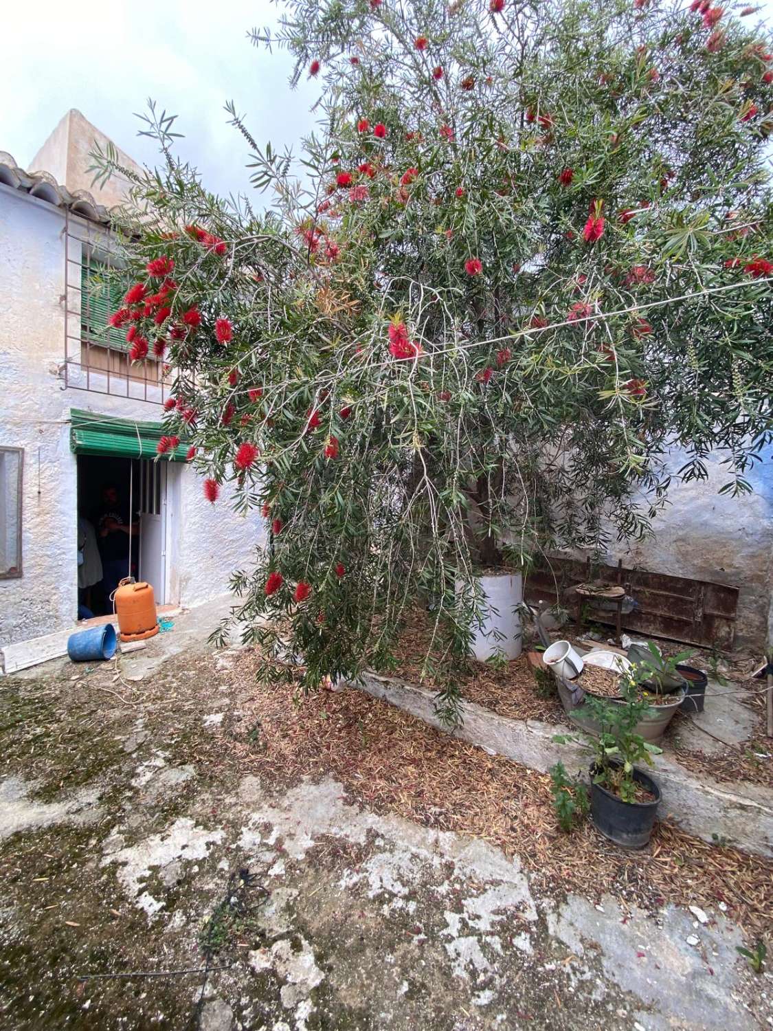 5 bedroom house in Oria with 1,700m2 of land with gardens and terraces