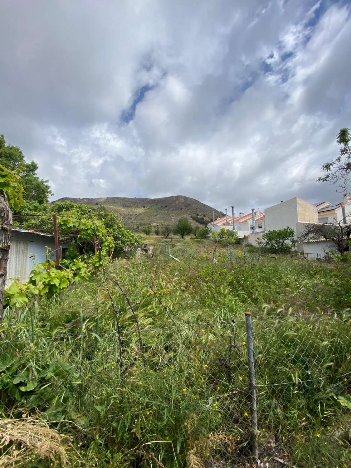 5 bedroom house in Oria with 1,700m2 of land with gardens and terraces