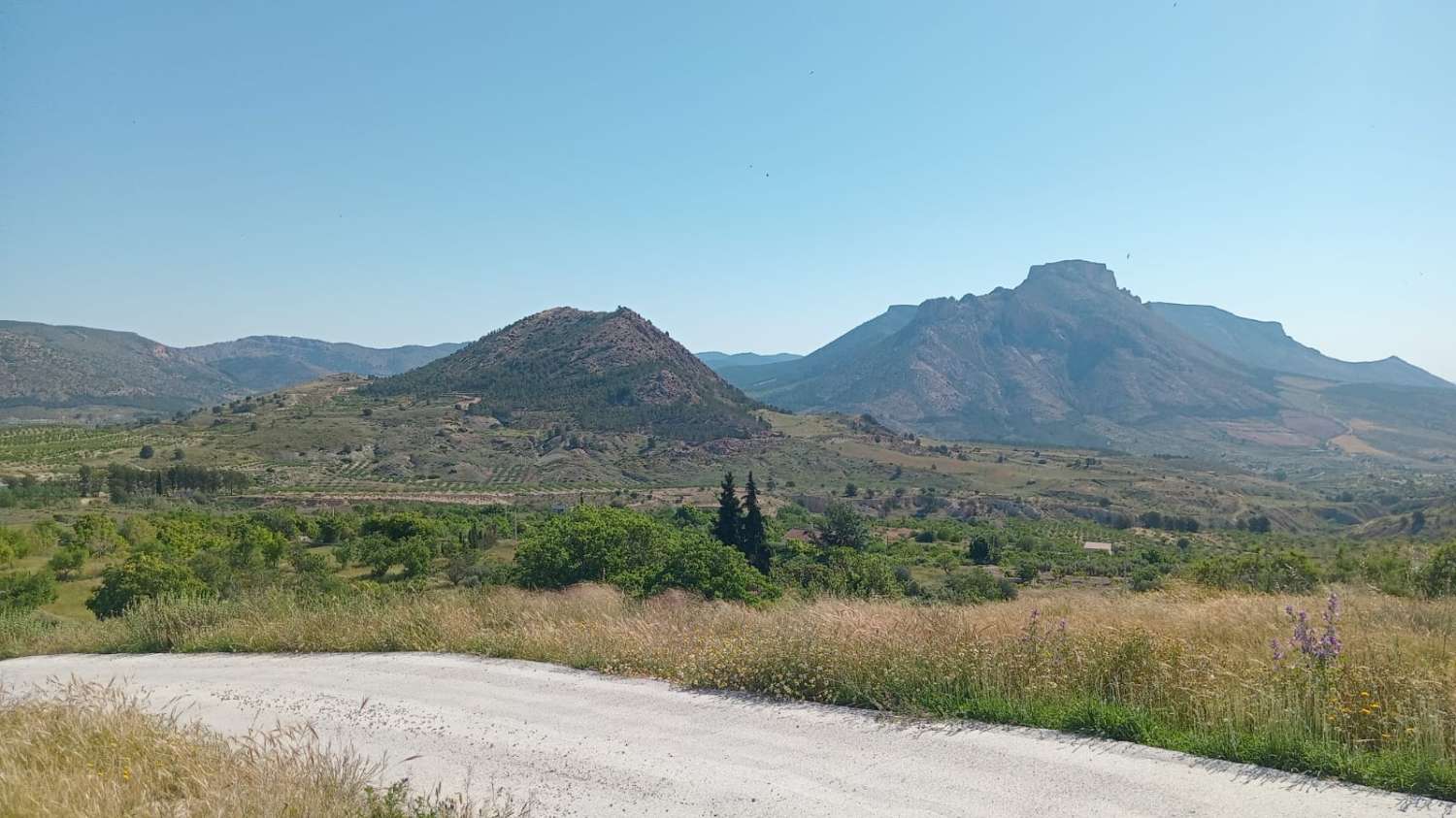 Te renoveren woning met 37.4982m2 grond in Velez Blanco