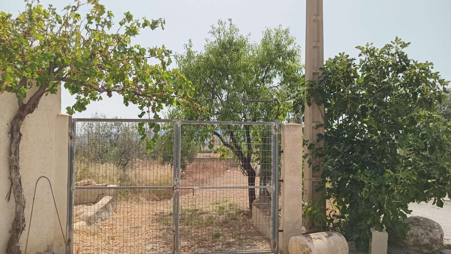 2 encantadores cortijos en el campo de Vélez Blanco con piscina.