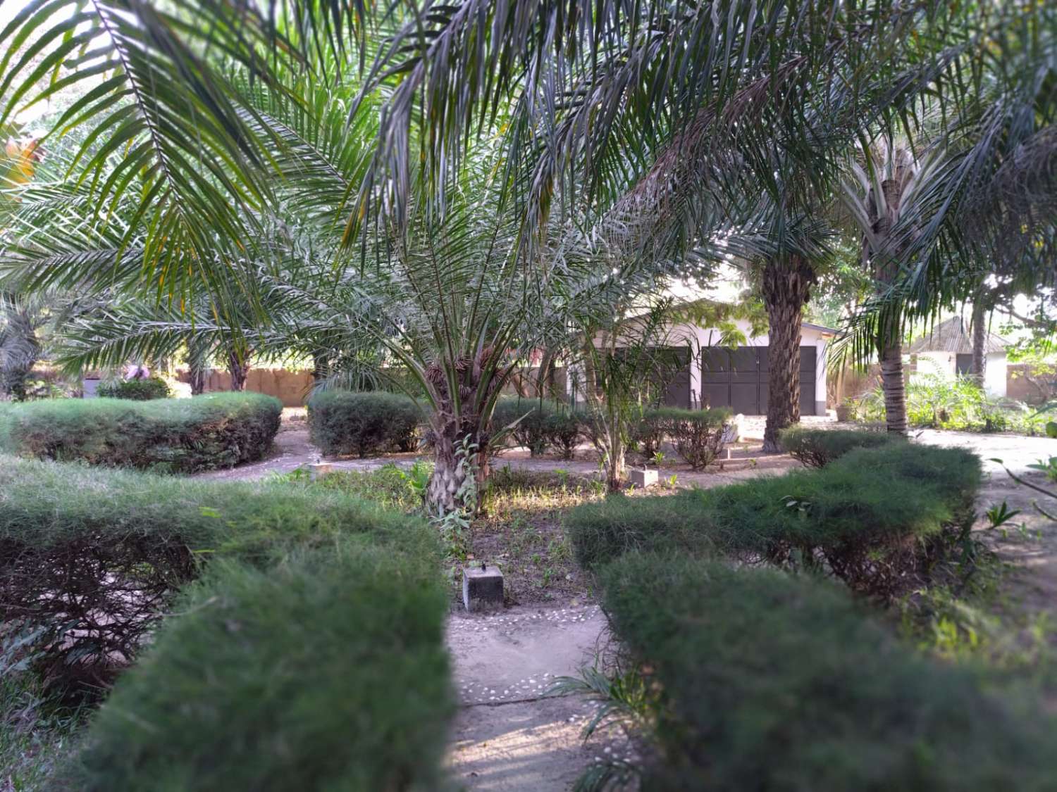 Impresionante villa de 4 dormitorios y 3 baños con piscina en Gambia, norte de África, cerca de la playa.