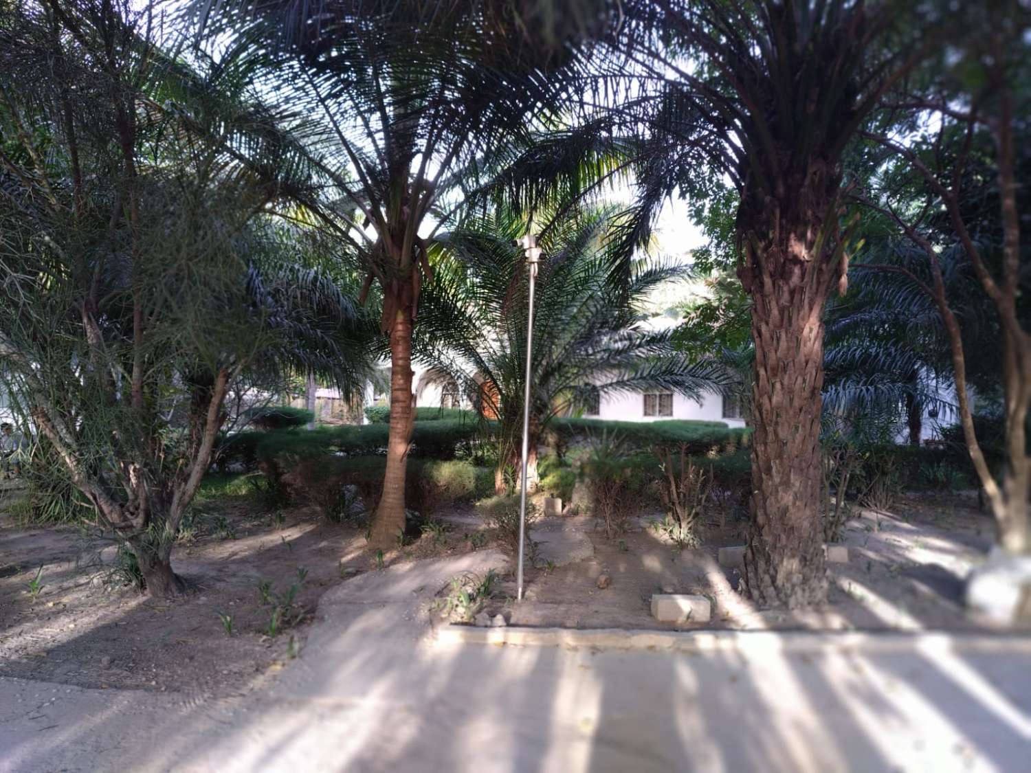 Impresionante villa de 4 dormitorios y 3 baños con piscina en Gambia, norte de África, cerca de la playa.