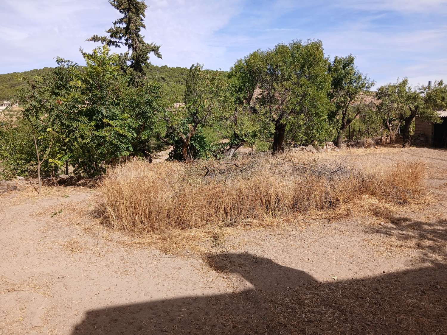 Preciosa casa en María con terreno de 388m2 y amplio garaje/taller.