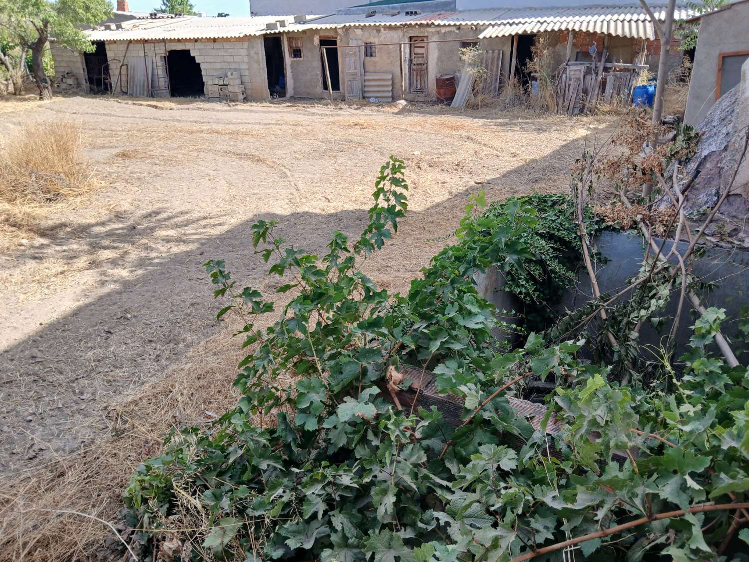 Preciosa casa en María con terreno de 388m2 y amplio garaje/taller.