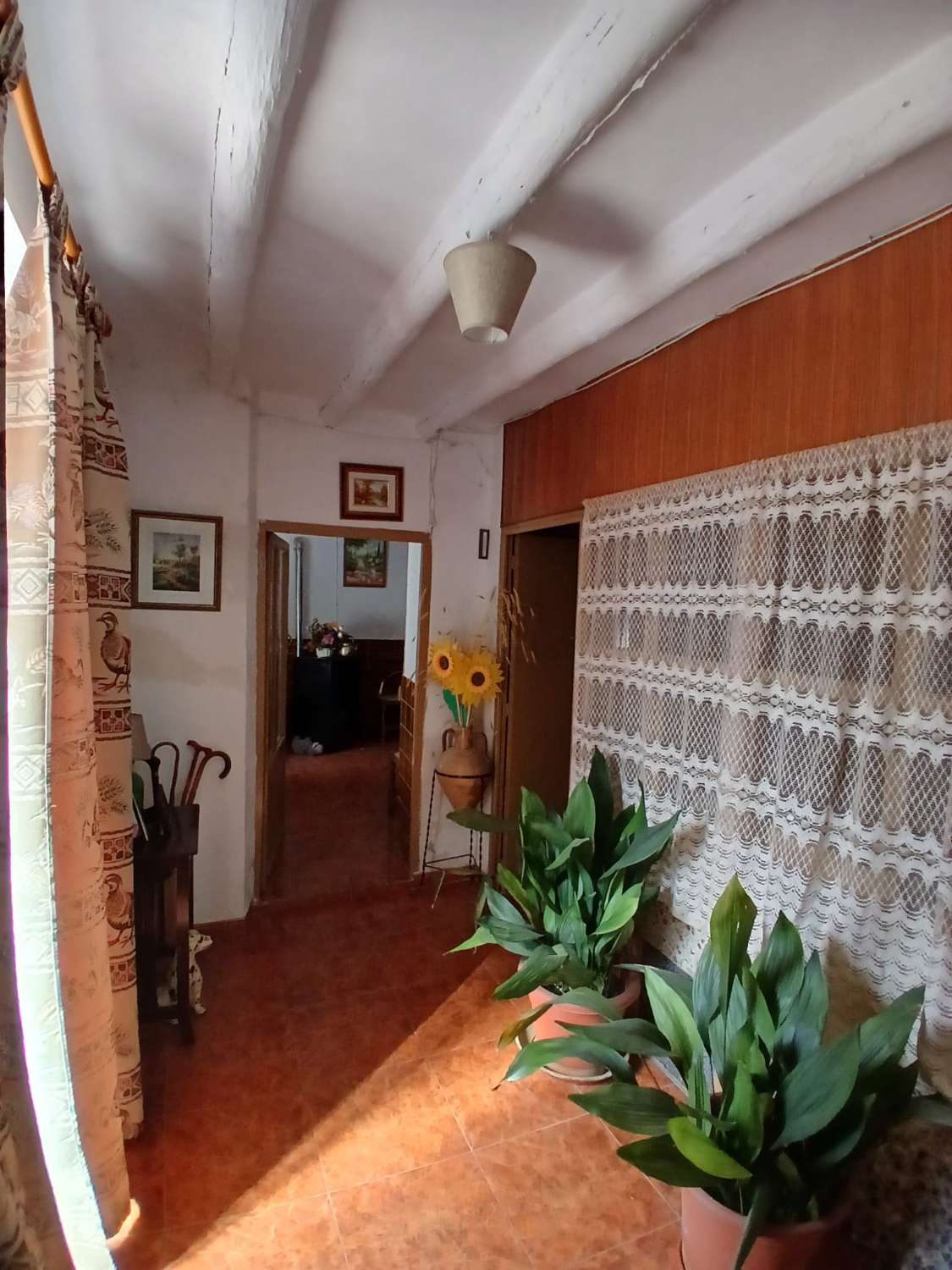 Preciosa casa en María con terreno de 388m2 y amplio garaje/taller.