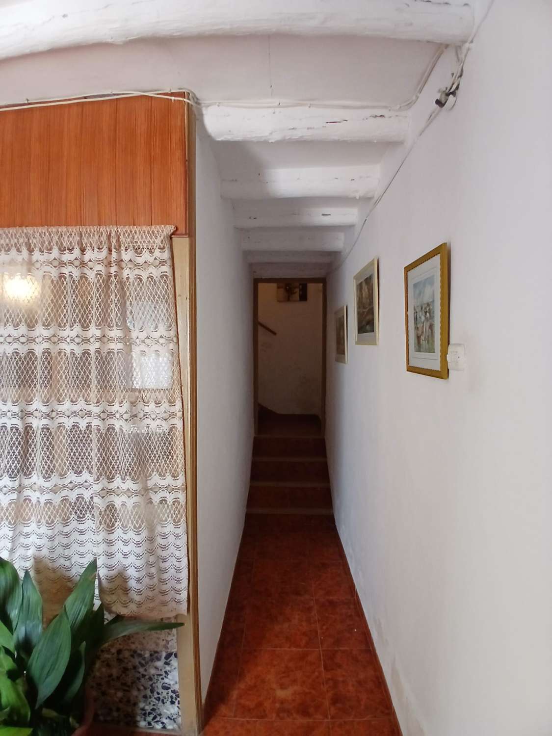 Preciosa casa en María con terreno de 388m2 y amplio garaje/taller.