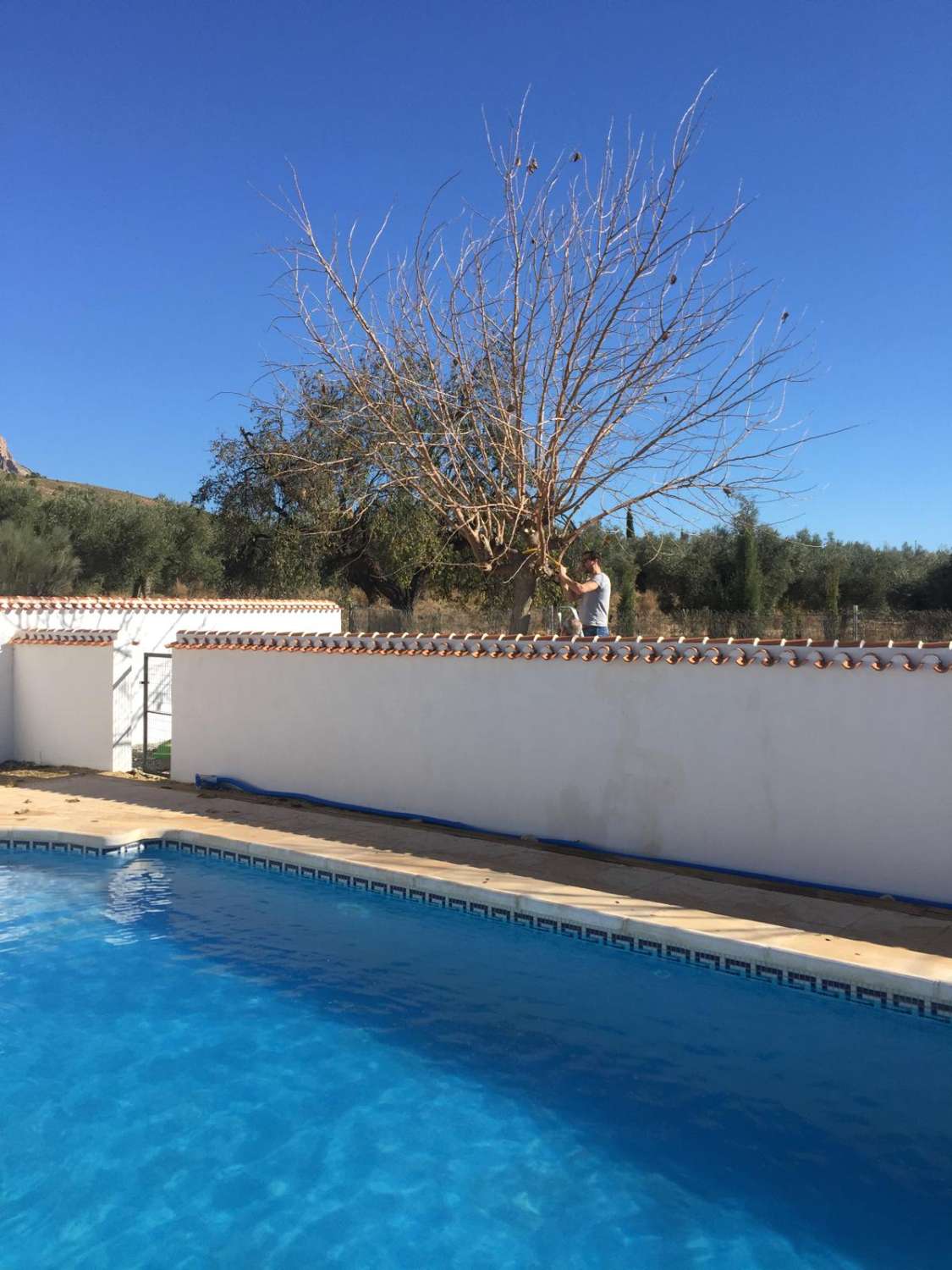 Impresionante villa con piscina y terreno en Vélez Blanco