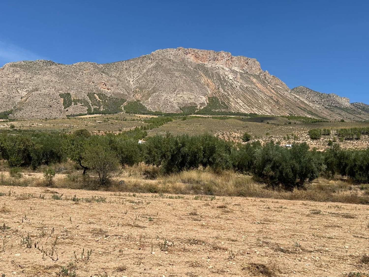 Impresionante villa con piscina y terreno en Vélez Blanco