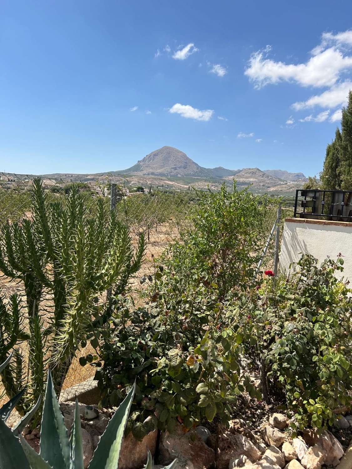 Impresionante villa con piscina y terreno en Vélez Blanco