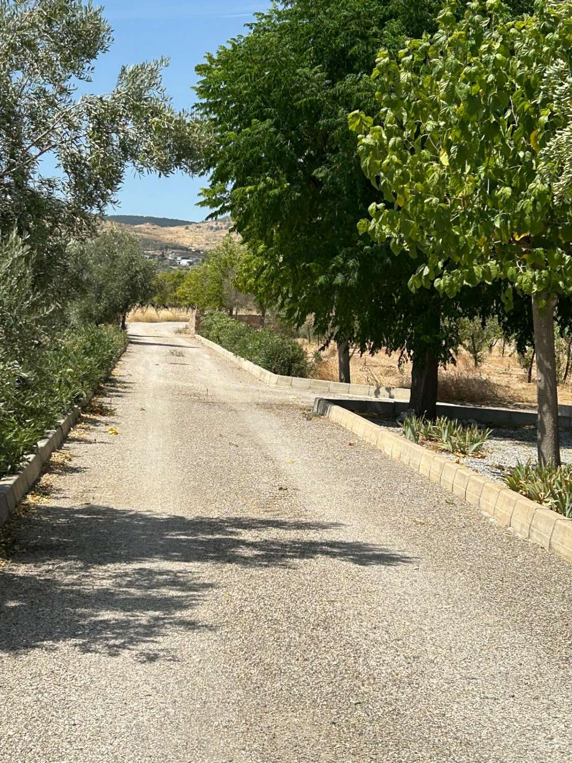 Impresionante villa con piscina y terreno en Vélez Blanco