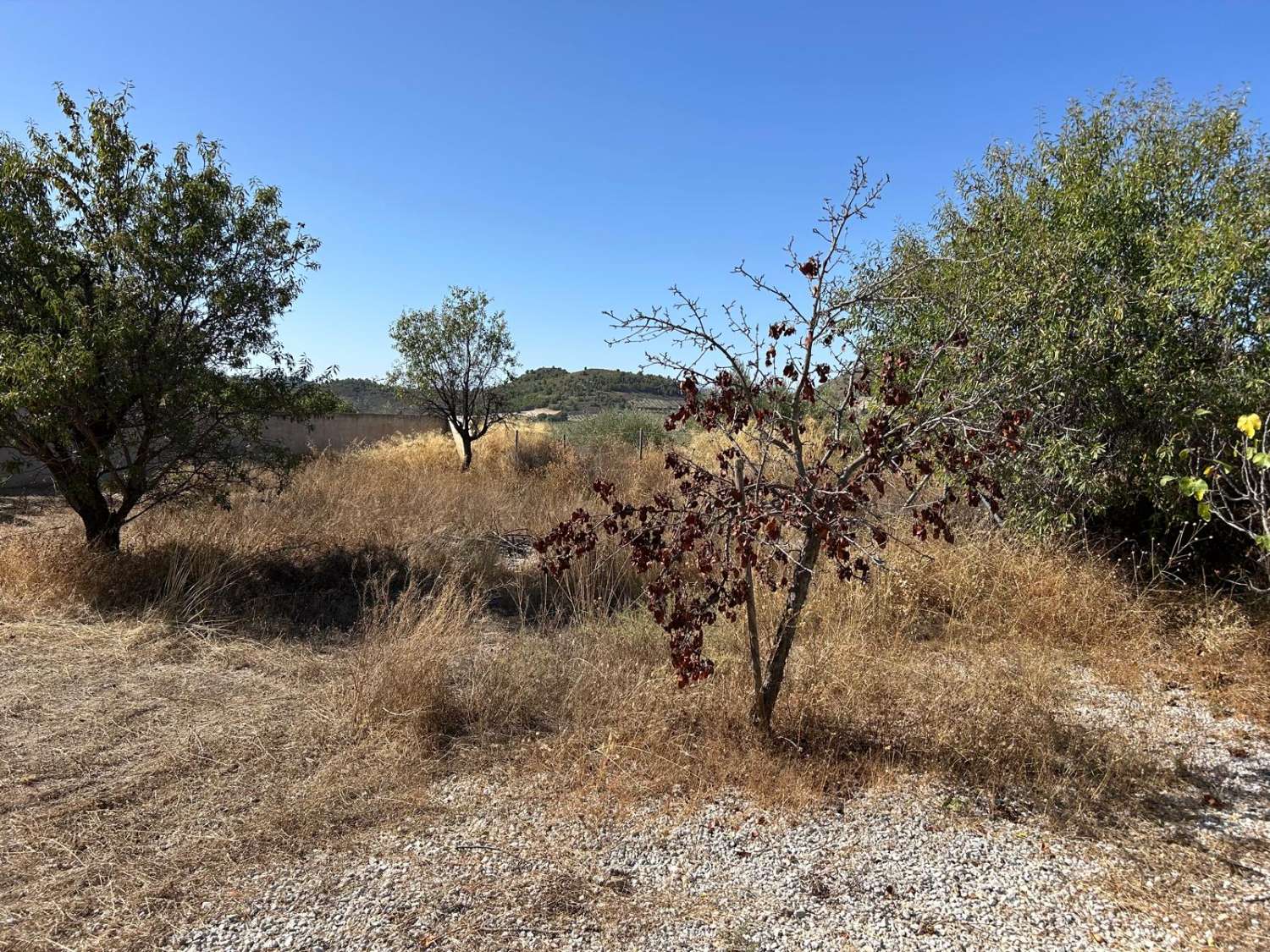 Impresionante villa con piscina y terreno en la codiciada zona de Oria