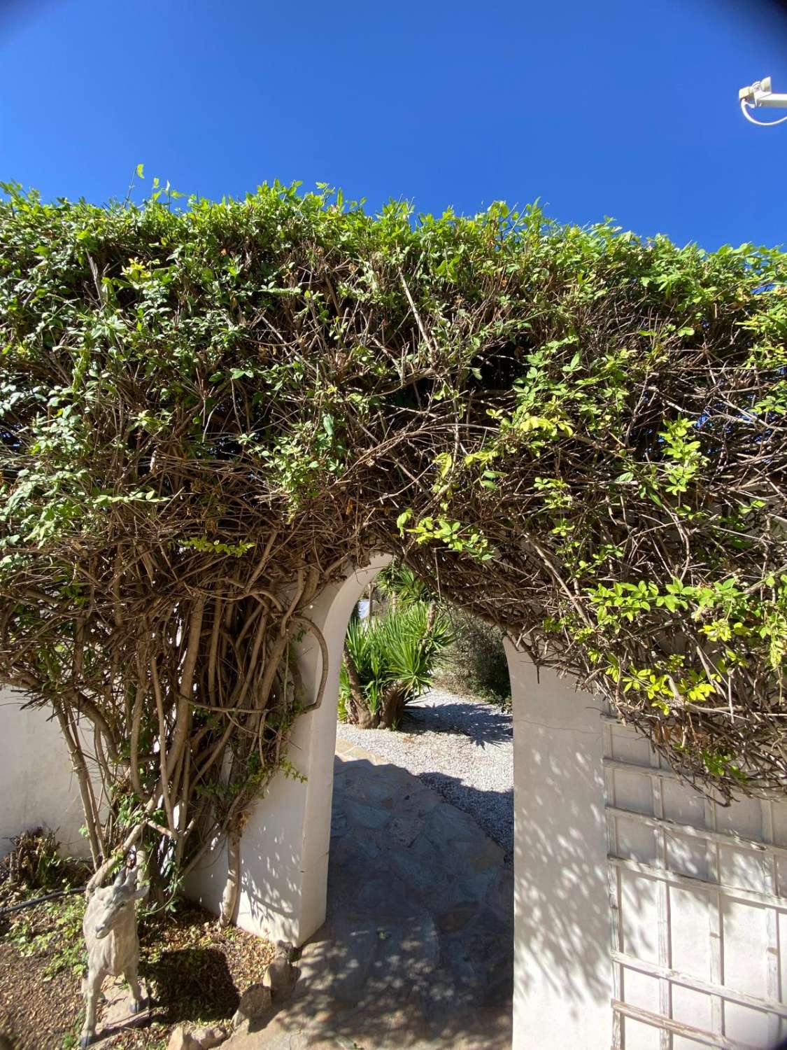 Impresionante villa con piscina y terreno en la codiciada zona de Oria