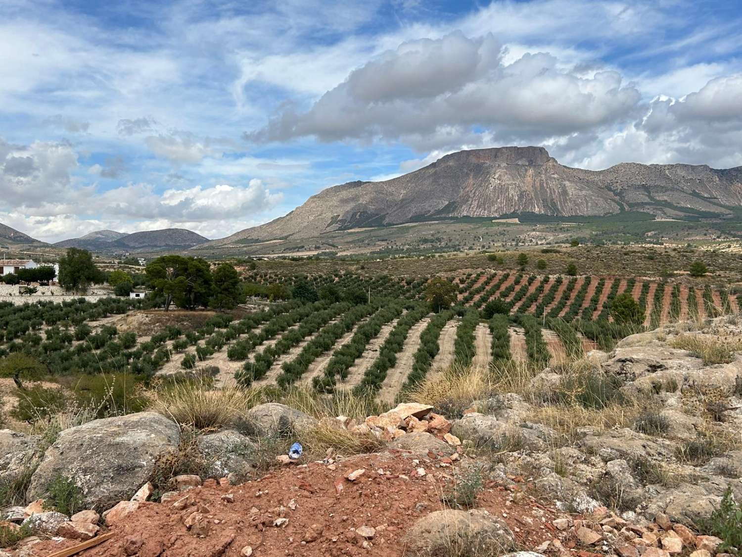 Casa nueva de 4 dormitorios y 3 baños en el Piar.
