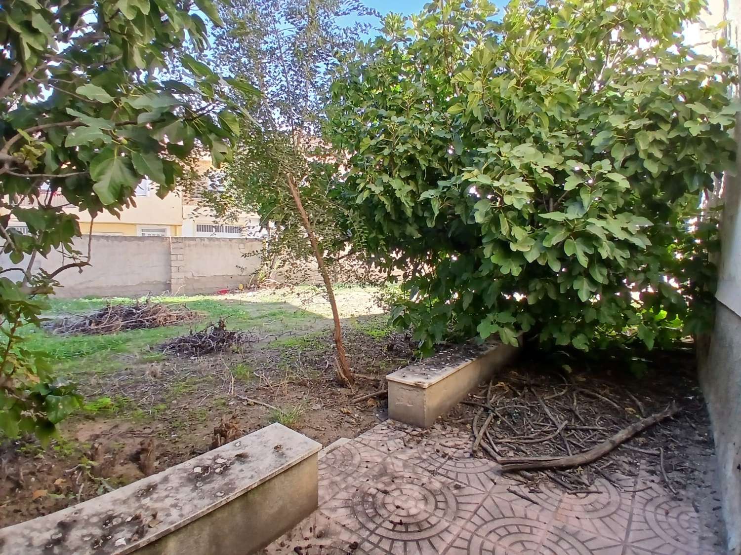 Casa en Vélez Rubio con gran jardín