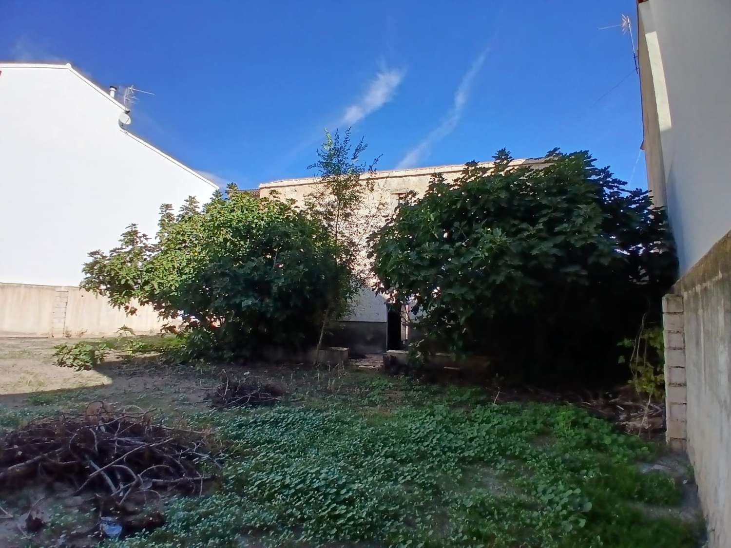 Casa en Vélez Rubio con gran jardín