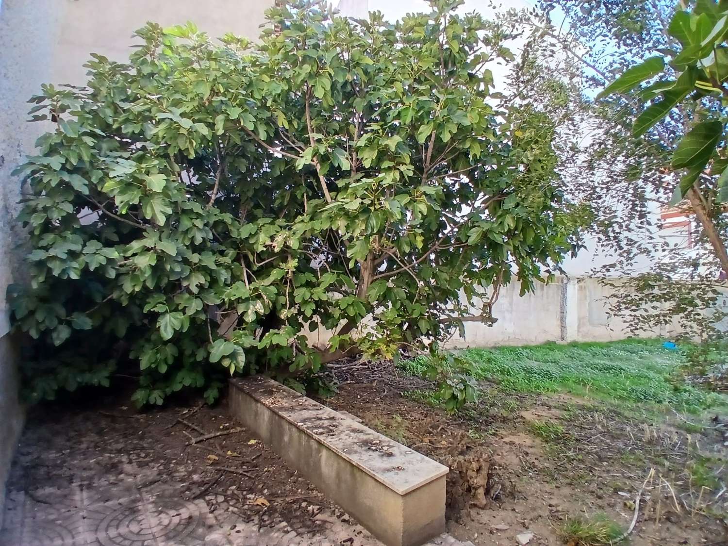 Casa en Vélez Rubio con gran jardín