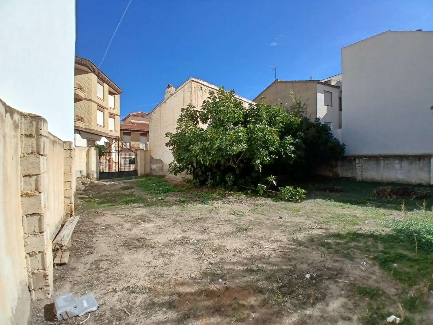 Casa en Vélez Rubio con gran jardín
