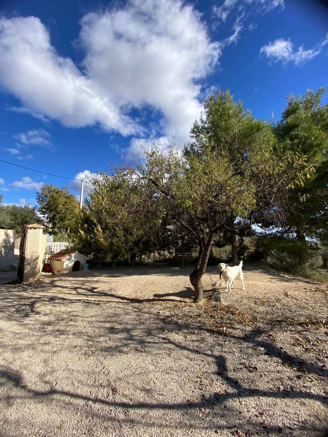 Preciosa casa de campo en zona tranquila a las afueras de Vélez Blanco con terreno de 2900m2
