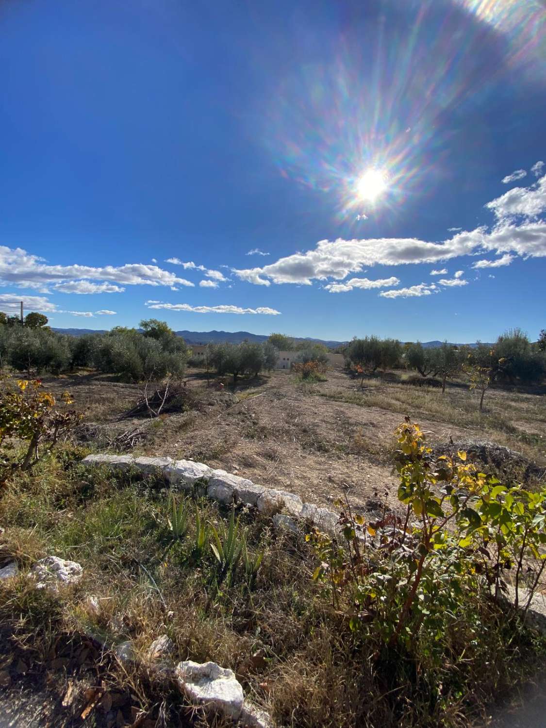 Preciosa casa de campo en zona tranquila a las afueras de Vélez Blanco con terreno de 2900m2