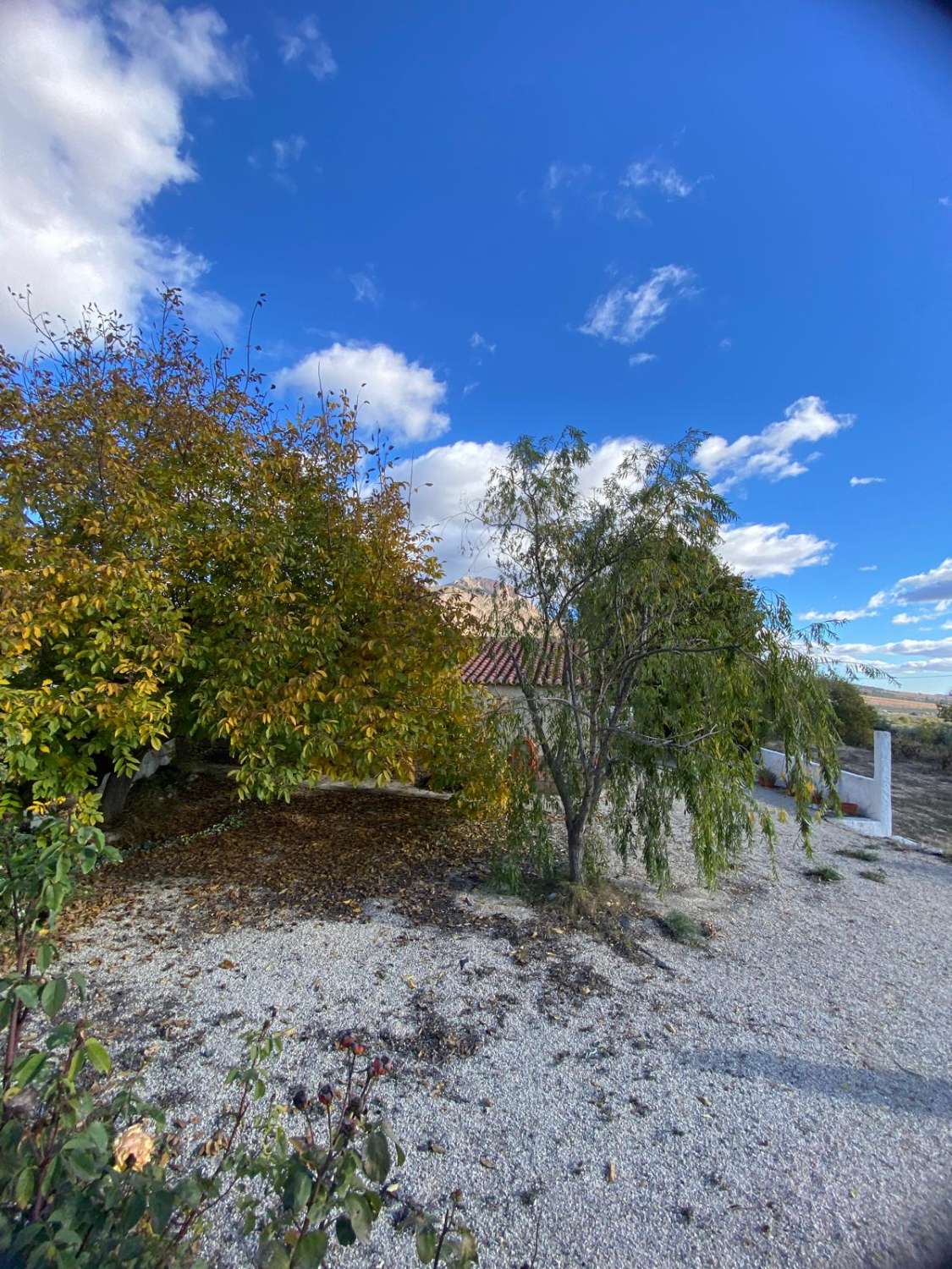 Preciosa casa de campo en zona tranquila a las afueras de Vélez Blanco con terreno de 2900m2