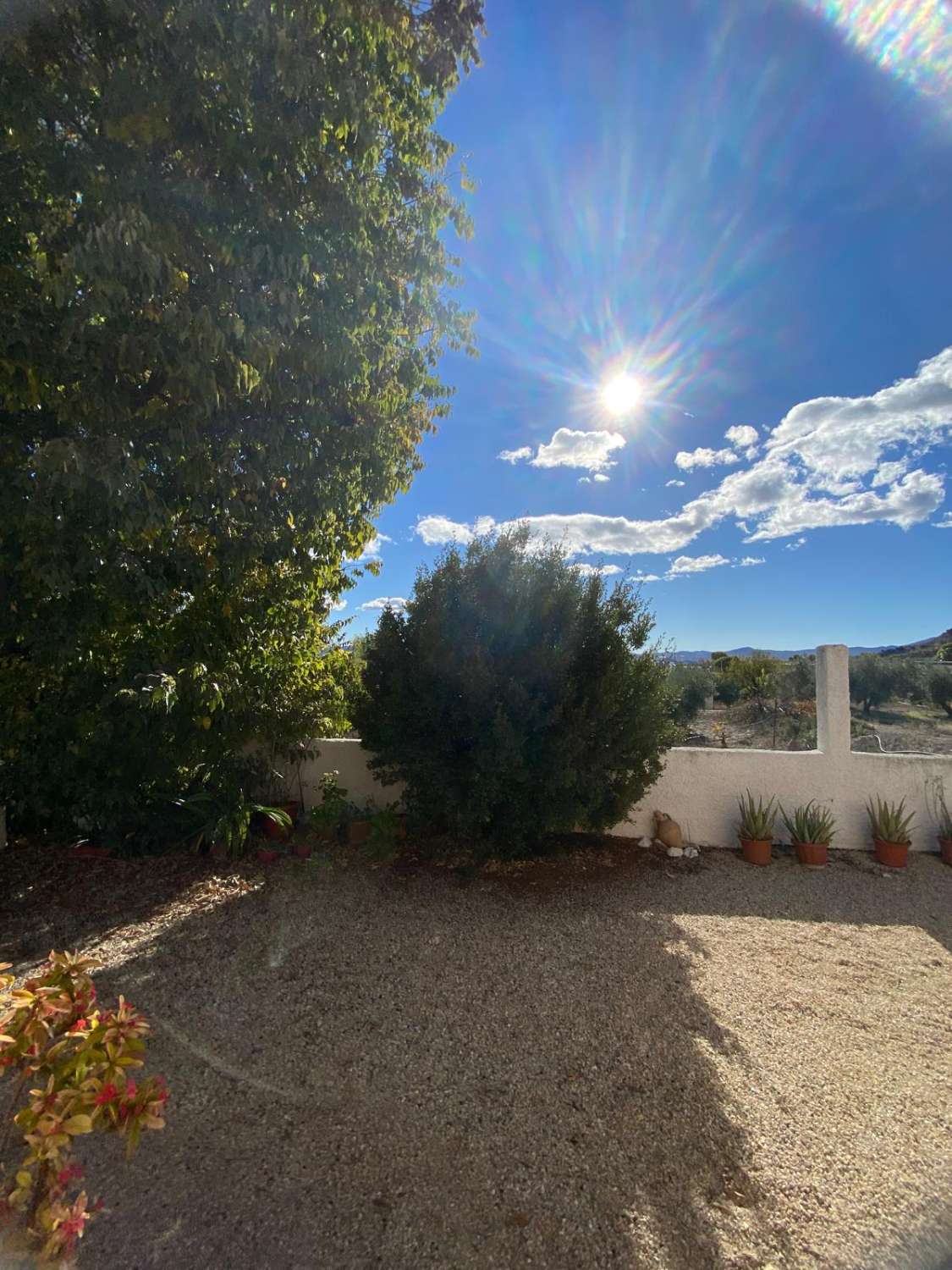 Preciosa casa de campo en zona tranquila a las afueras de Vélez Blanco con terreno de 2900m2