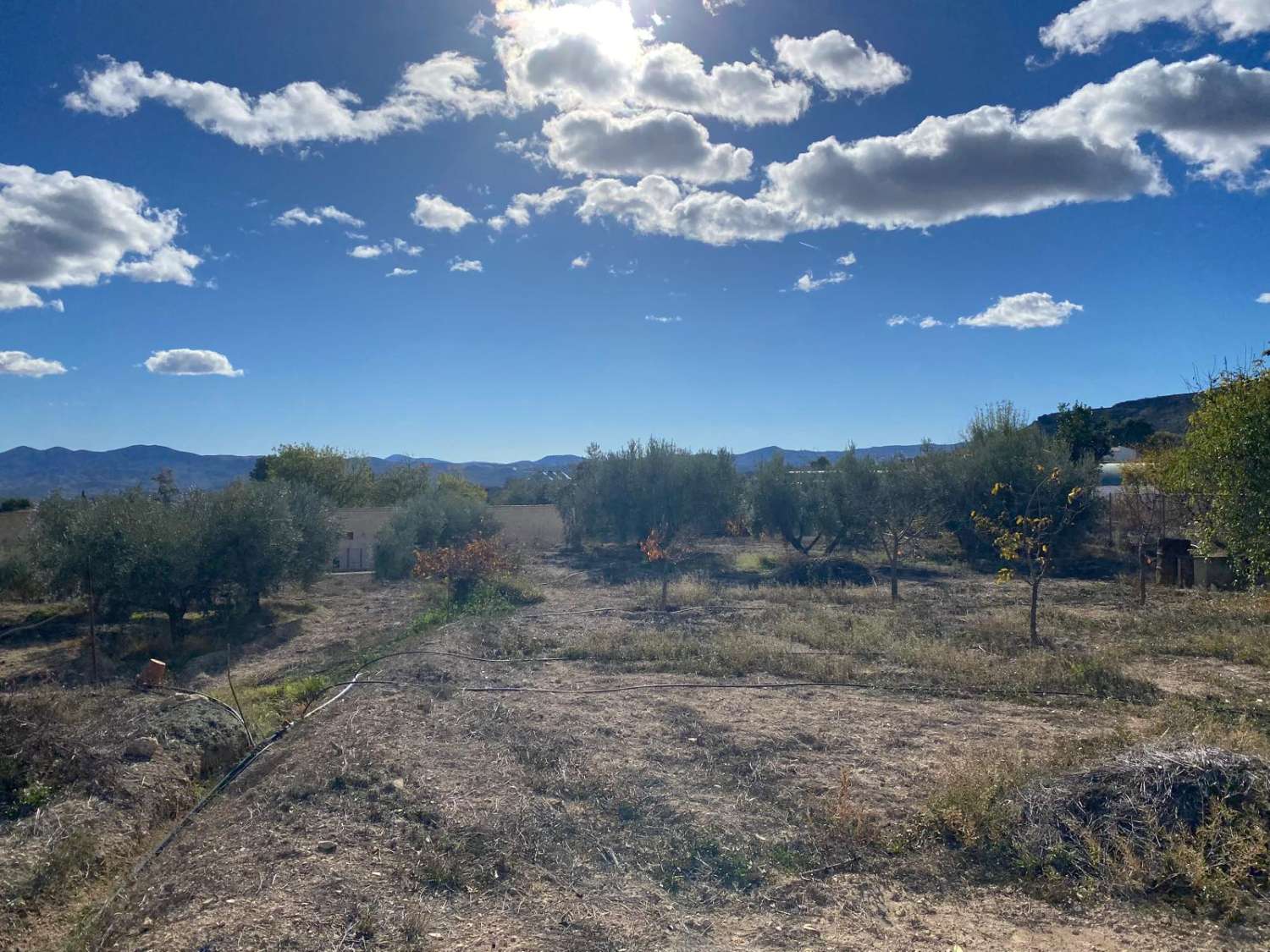 Preciosa casa de campo en zona tranquila a las afueras de Vélez Blanco con terreno de 2900m2