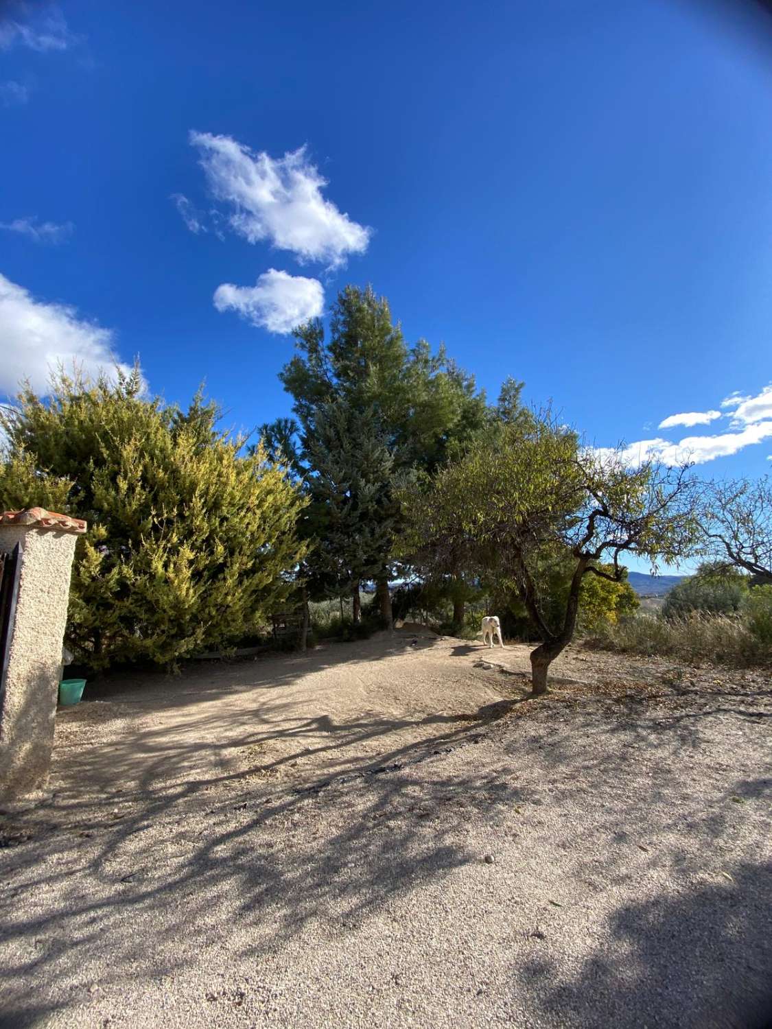 Preciosa casa de campo en zona tranquila a las afueras de Vélez Blanco con terreno de 2900m2