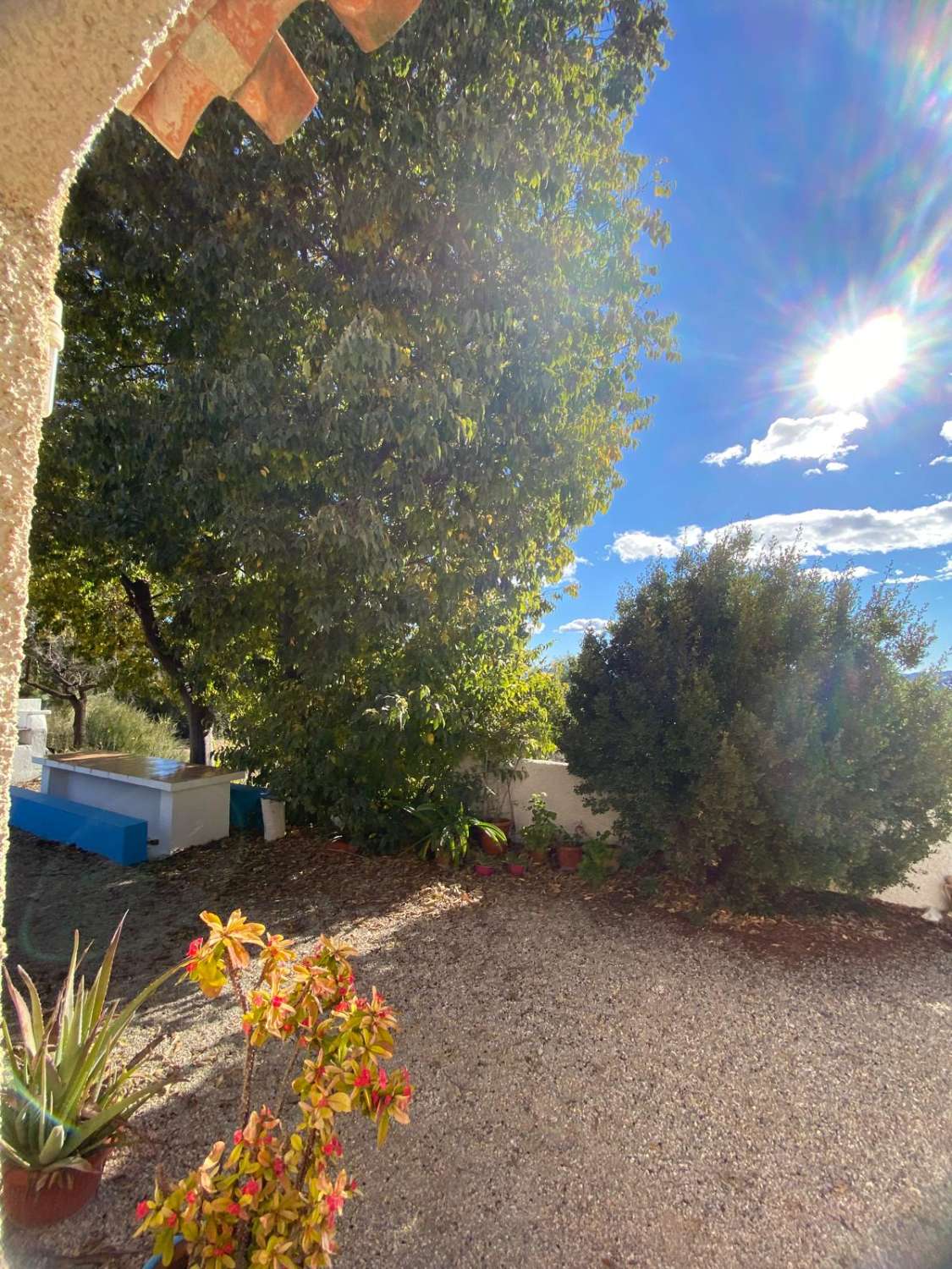 Preciosa casa de campo en zona tranquila a las afueras de Vélez Blanco con terreno de 2900m2