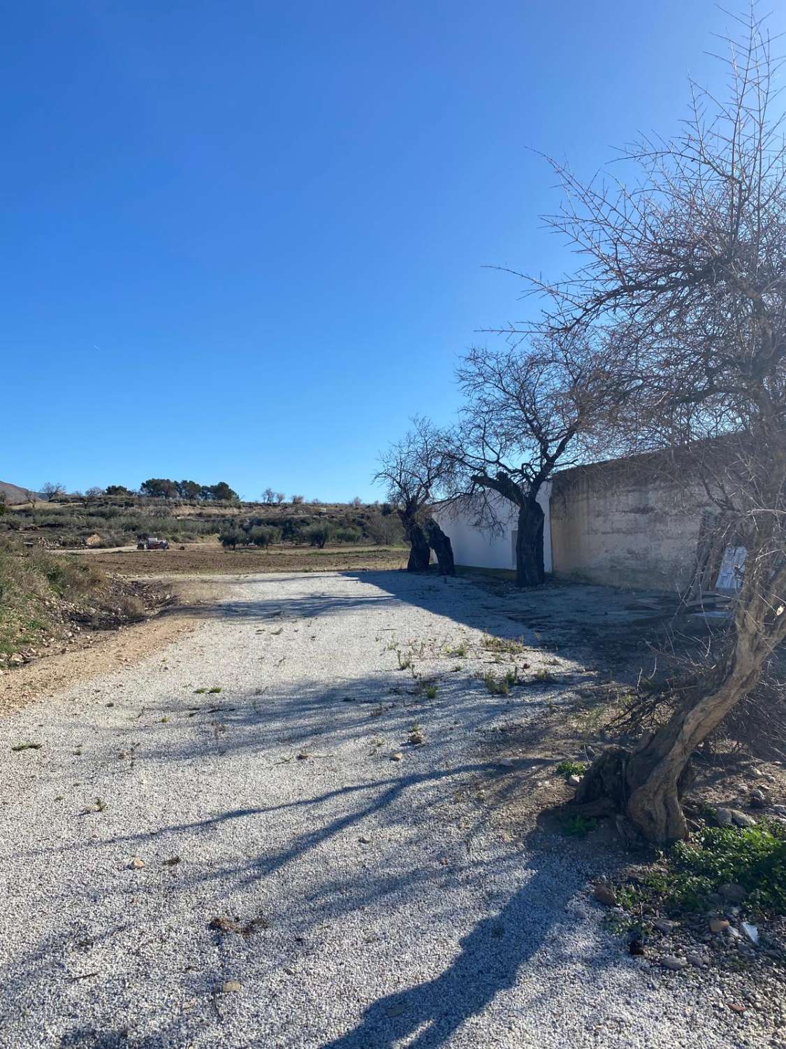 Beautiful Cortijo on the outskirts of Velez Blanco with stunning views.  3 bed, 2 bath with land