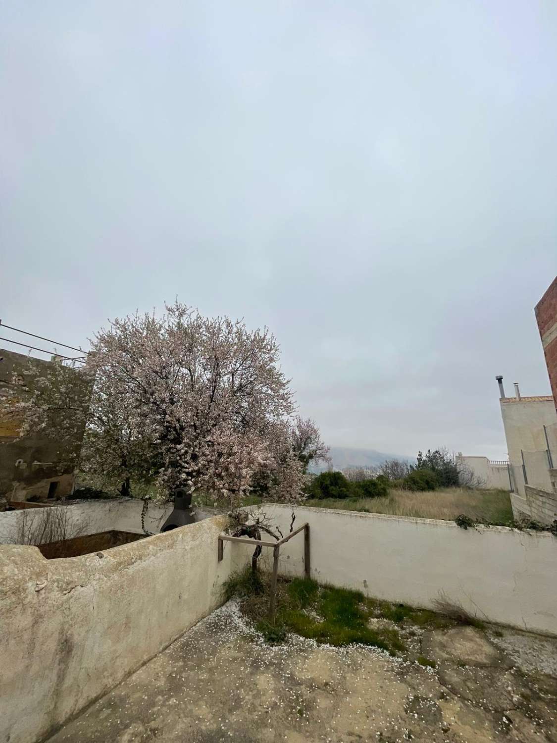 5 bedroom, 2 bath house with patio in immaculate condition in Velez Blanco