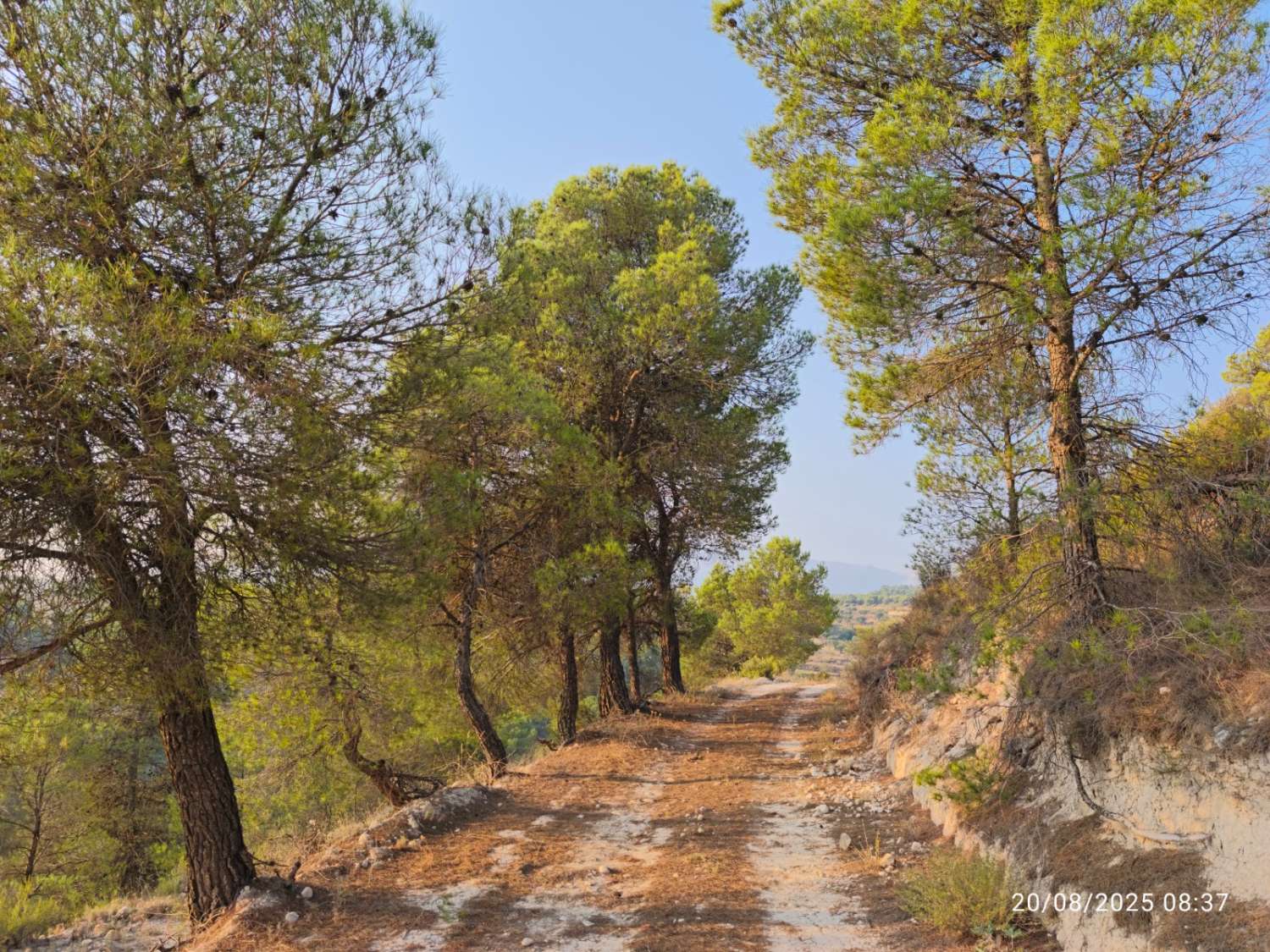 Parcel of land with small Cortijo in Maria