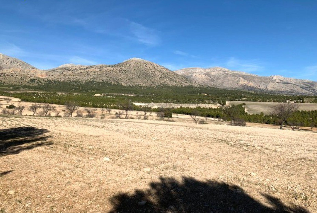 Rustic property in Chirivel, 447 hectares.