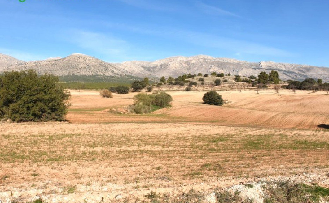 Rustic property in Chirivel, 447 hectares.