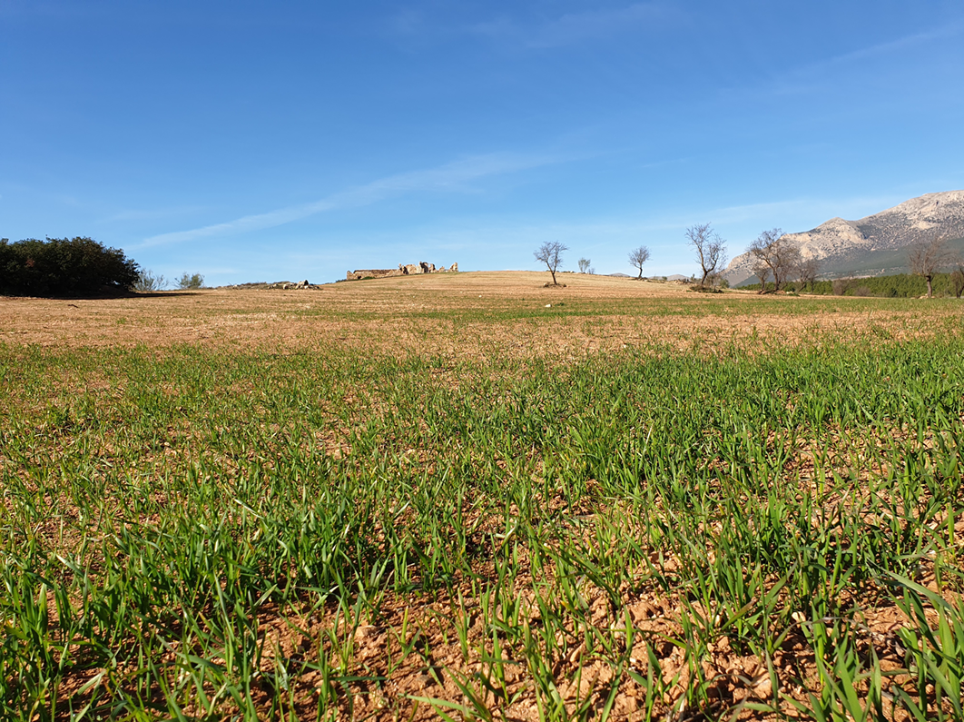 Rustic property in Chirivel, 447 hectares.