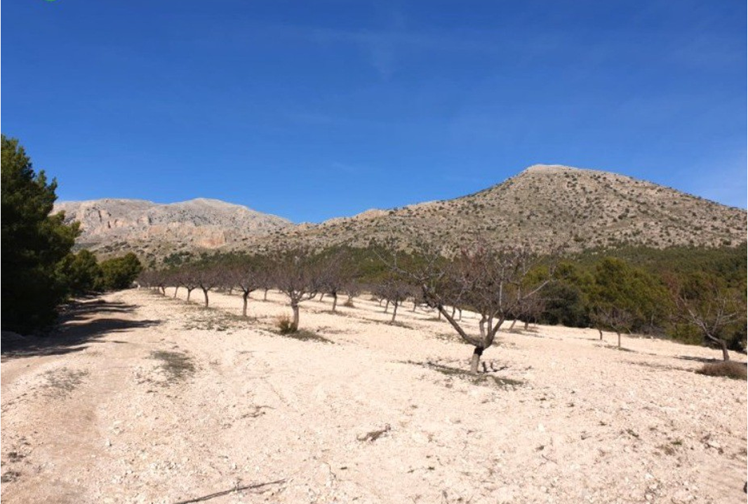 Rustic property in Chirivel, 447 hectares.