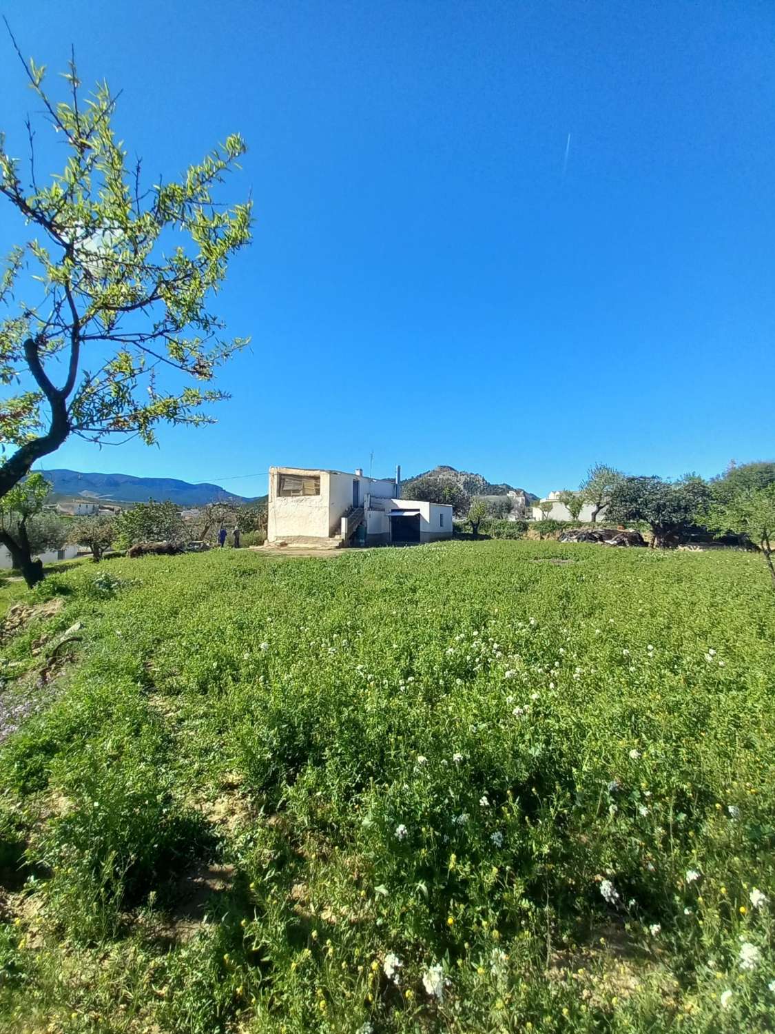 Cortijo with 5,299m2 of land in beautiful setting in Velez Rubio with a garage