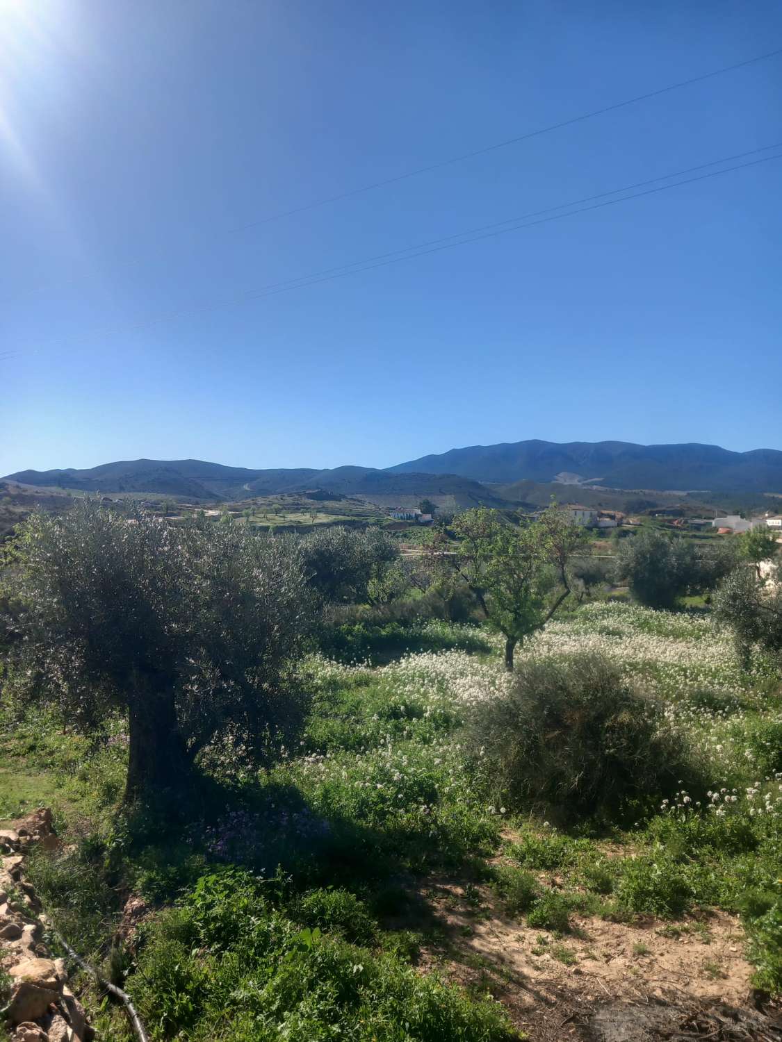 Cortijo with 5,299m2 of land in beautiful setting in Velez Rubio with a garage