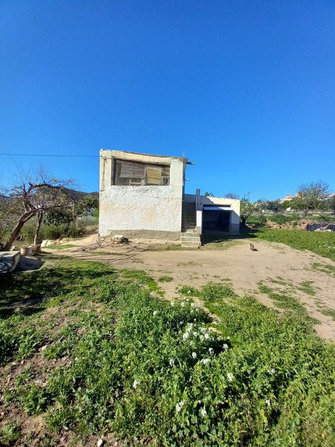 Cortijo with 5,299m2 of land in beautiful setting in Velez Rubio with a garage