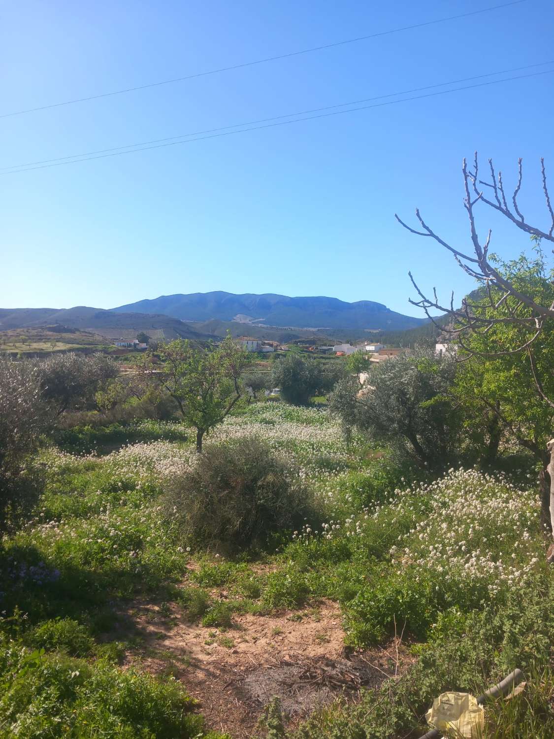 Cortijo with 5,299m2 of land in beautiful setting in Velez Rubio with a garage