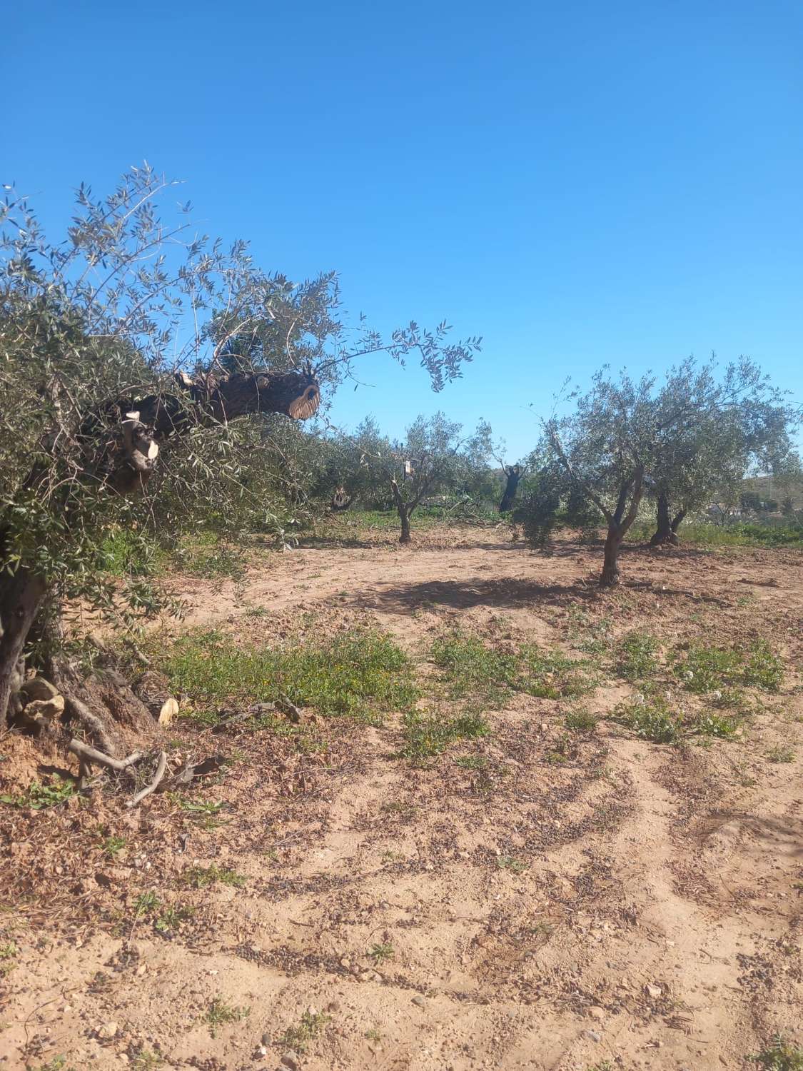 Cortijo with 5,299m2 of land in beautiful setting in Velez Rubio with a garage