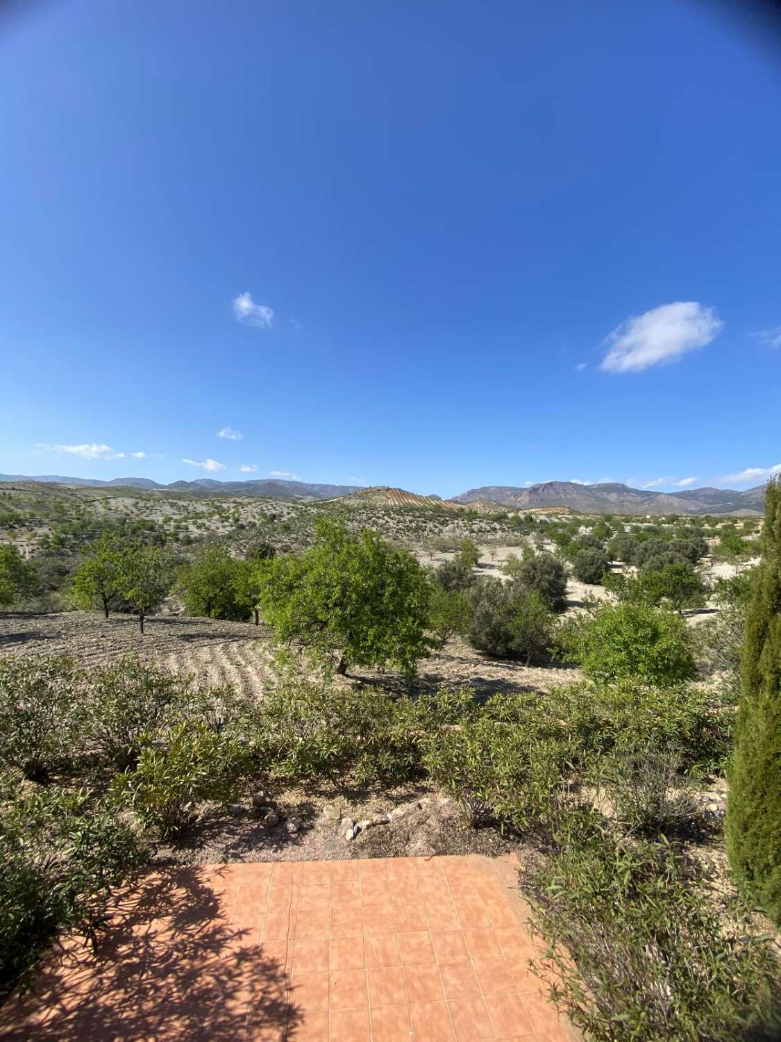 Stunning 4 bed, 2 bath property with pool in secluded location near Oria town