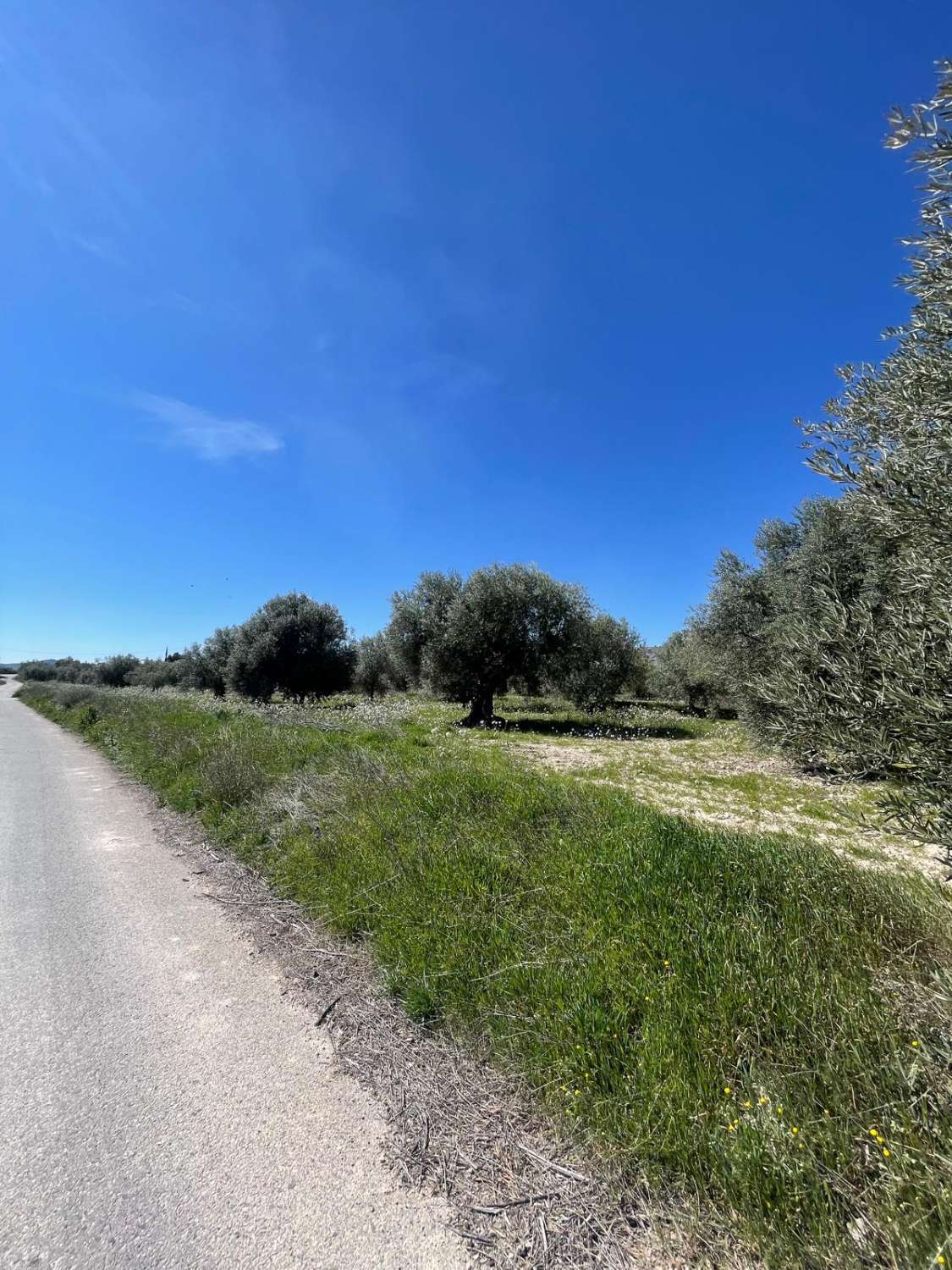 Stunning house with 12,766 m2 land in Velez Blanco with amazing views