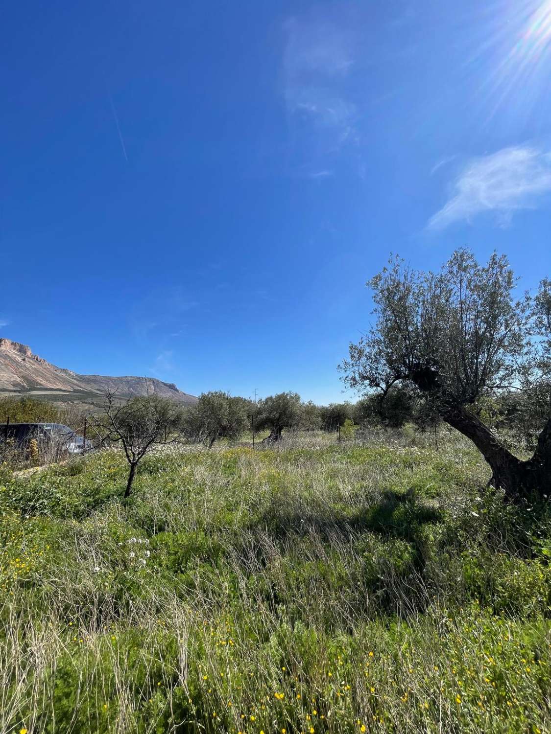 Stunning house with 12,766 m2 land in Velez Blanco with amazing views