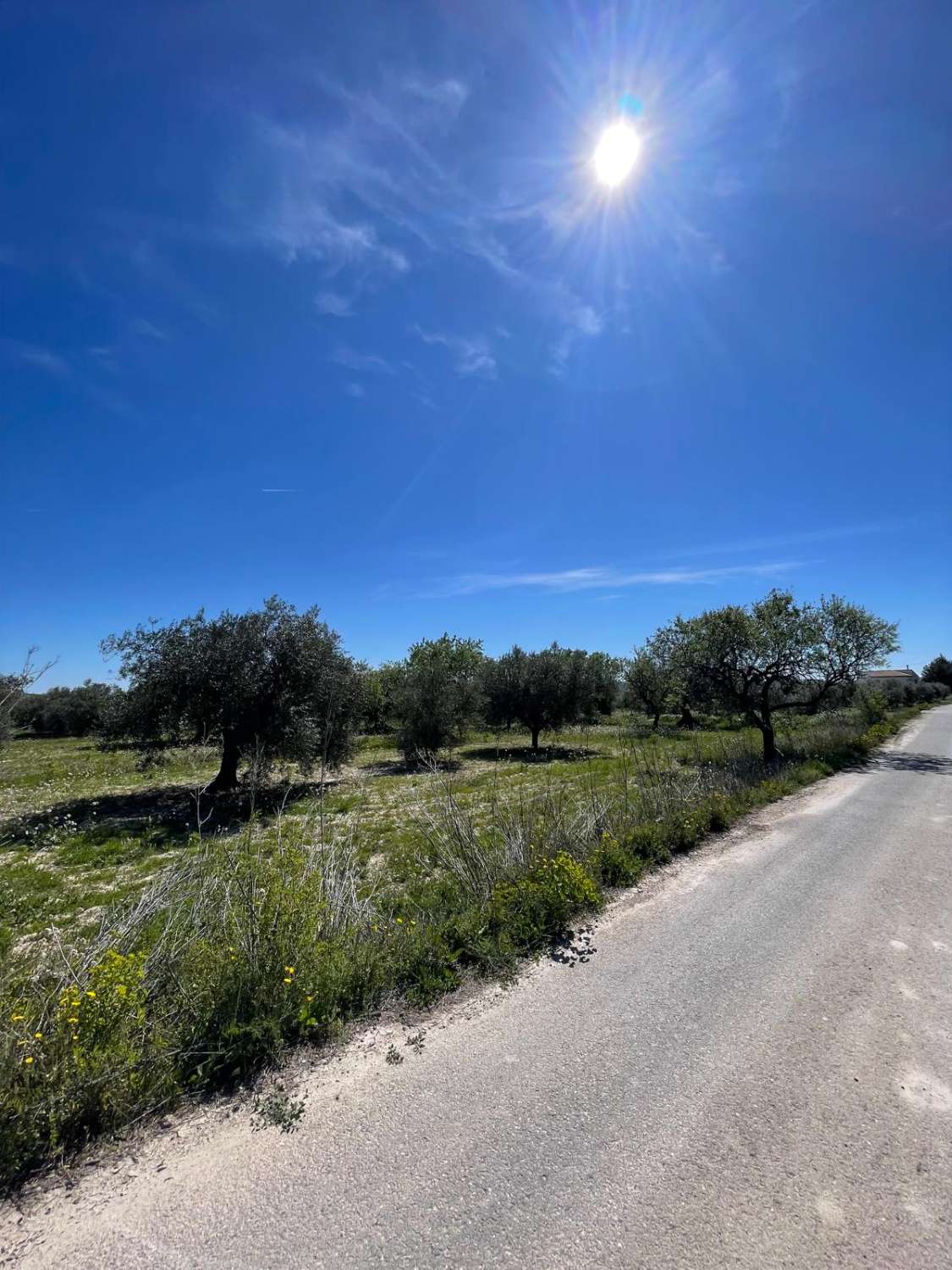 Stunning house with 12,766 m2 land in Velez Blanco with amazing views