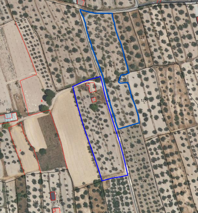 Stunning house with 12,766 m2 land in Velez Blanco with amazing views